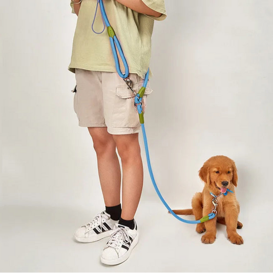 long dog leash blue