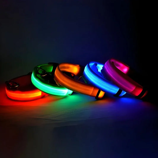 nylon collar for walking at nighttime, flashing led lights