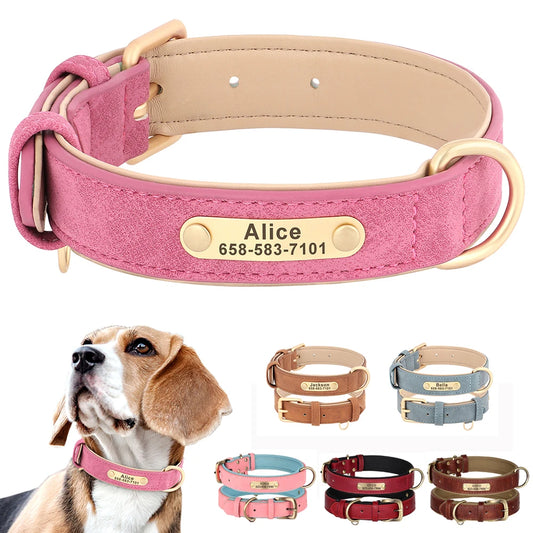 custom dog collar with nameplate