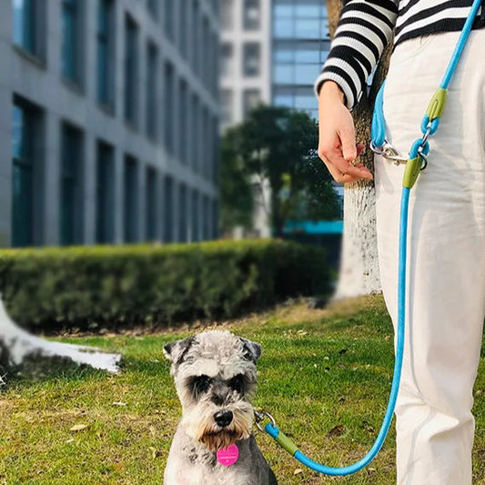 reflective nylon dog leash rope for running dog