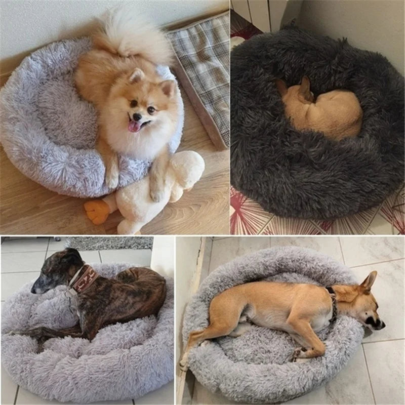 Donut Mand Dog Accessories for Large Dogs Pet Bed Round Soft Comfortable Calming Mat