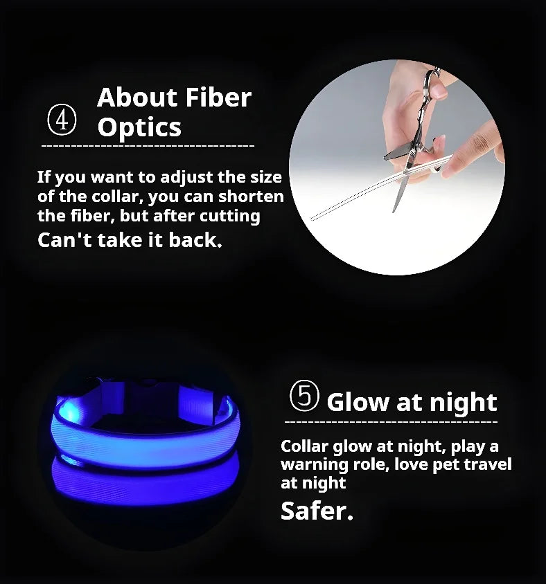 Dog Collar Nylon LED Night Safety Flashing Glow In The Dark Pet Dog Leash Fluorescent Dog Accessories