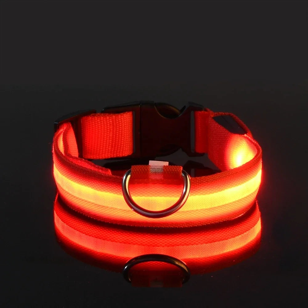 Dog Collar Nylon LED Night Safety Flashing Glow In The Dark Pet Dog Leash Fluorescent Dog Accessories