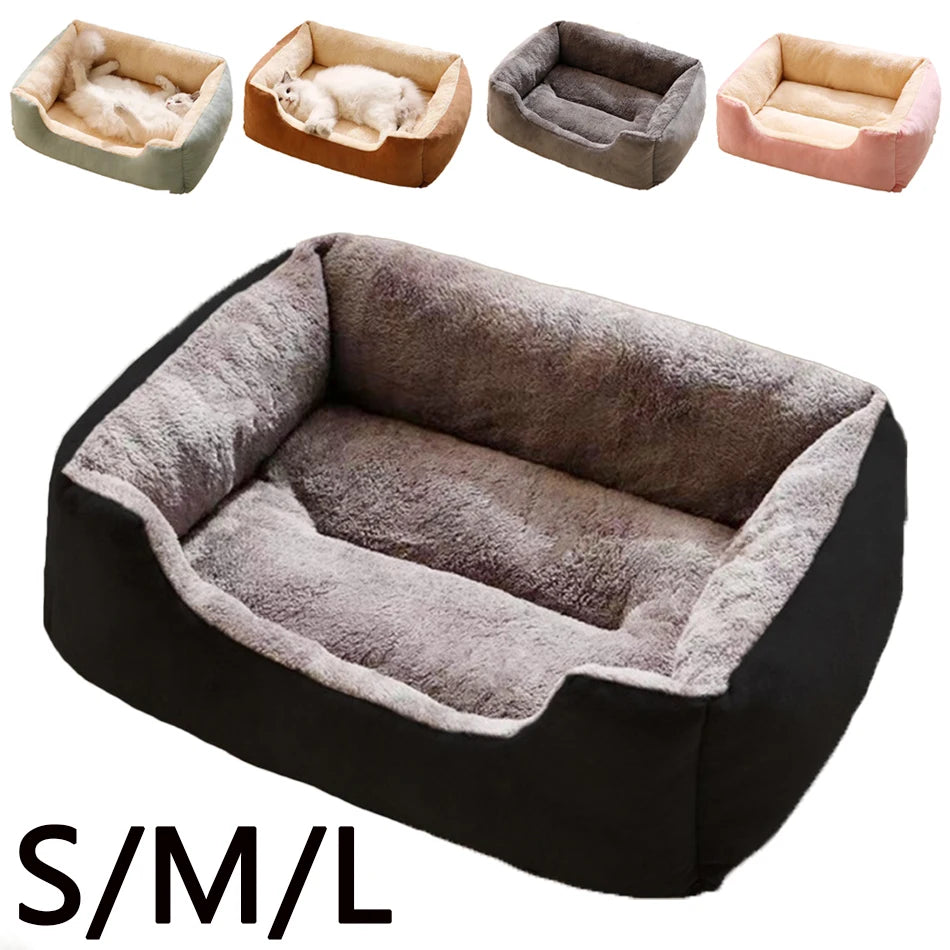 Bed for Cats Pet Products Cushions Kitten Goods Accessories Dog All Houses Supplies Things Accessory Habitats Basket House Beds