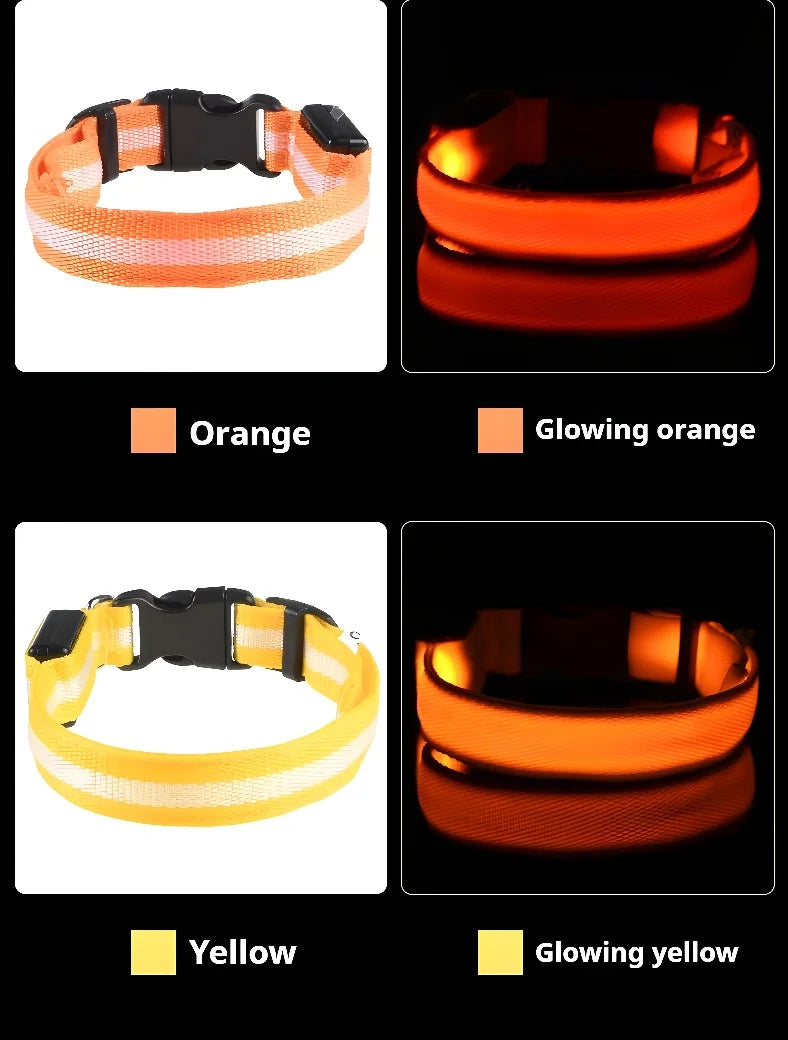 Dog Collar Nylon LED Night Safety Flashing Glow In The Dark Pet Dog Leash Fluorescent Dog Accessories