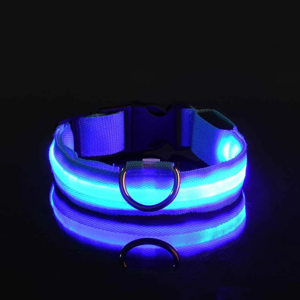 Dog Collar Nylon LED Night Safety Flashing Glow In The Dark Pet Dog Leash Fluorescent Dog Accessories