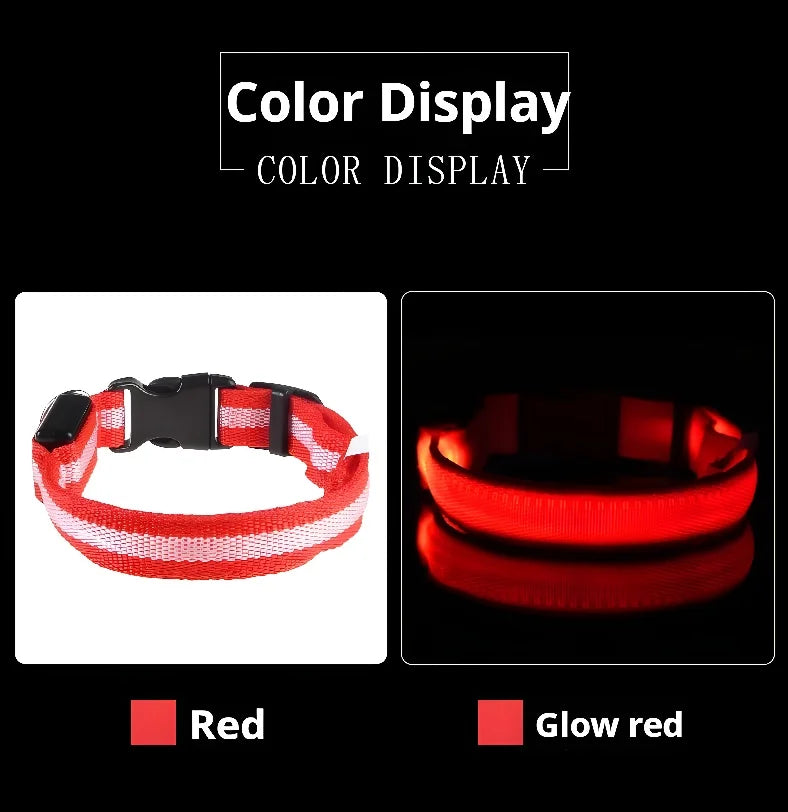 Dog Collar Nylon LED Night Safety Flashing Glow In The Dark Pet Dog Leash Fluorescent Dog Accessories