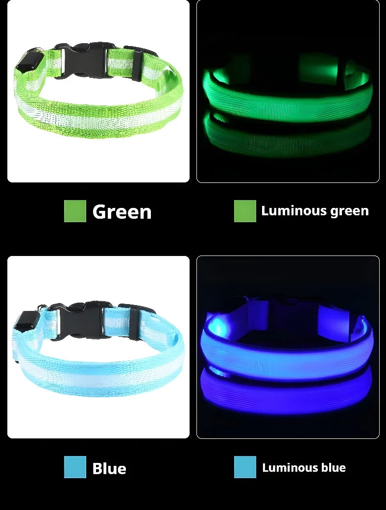 Dog Collar Nylon LED Night Safety Flashing Glow In The Dark Pet Dog Leash Fluorescent Dog Accessories