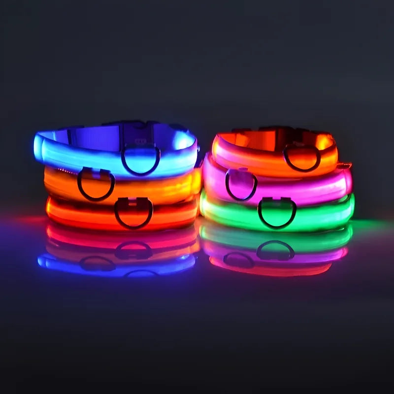 Dog Collar Nylon LED Night Safety Flashing Glow In The Dark Pet Dog Leash Fluorescent Dog Accessories