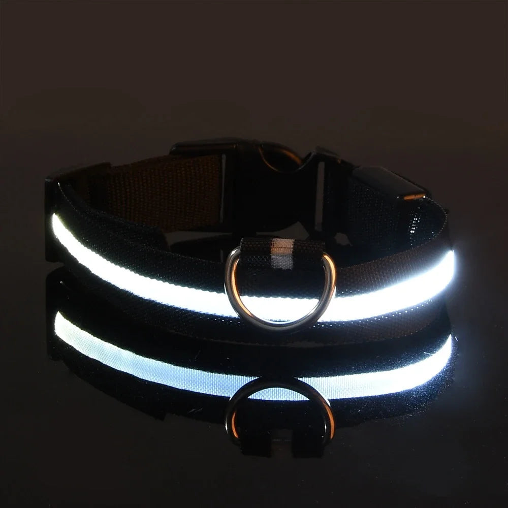 Dog Collar Nylon LED Night Safety Flashing Glow In The Dark Pet Dog Leash Fluorescent Dog Accessories