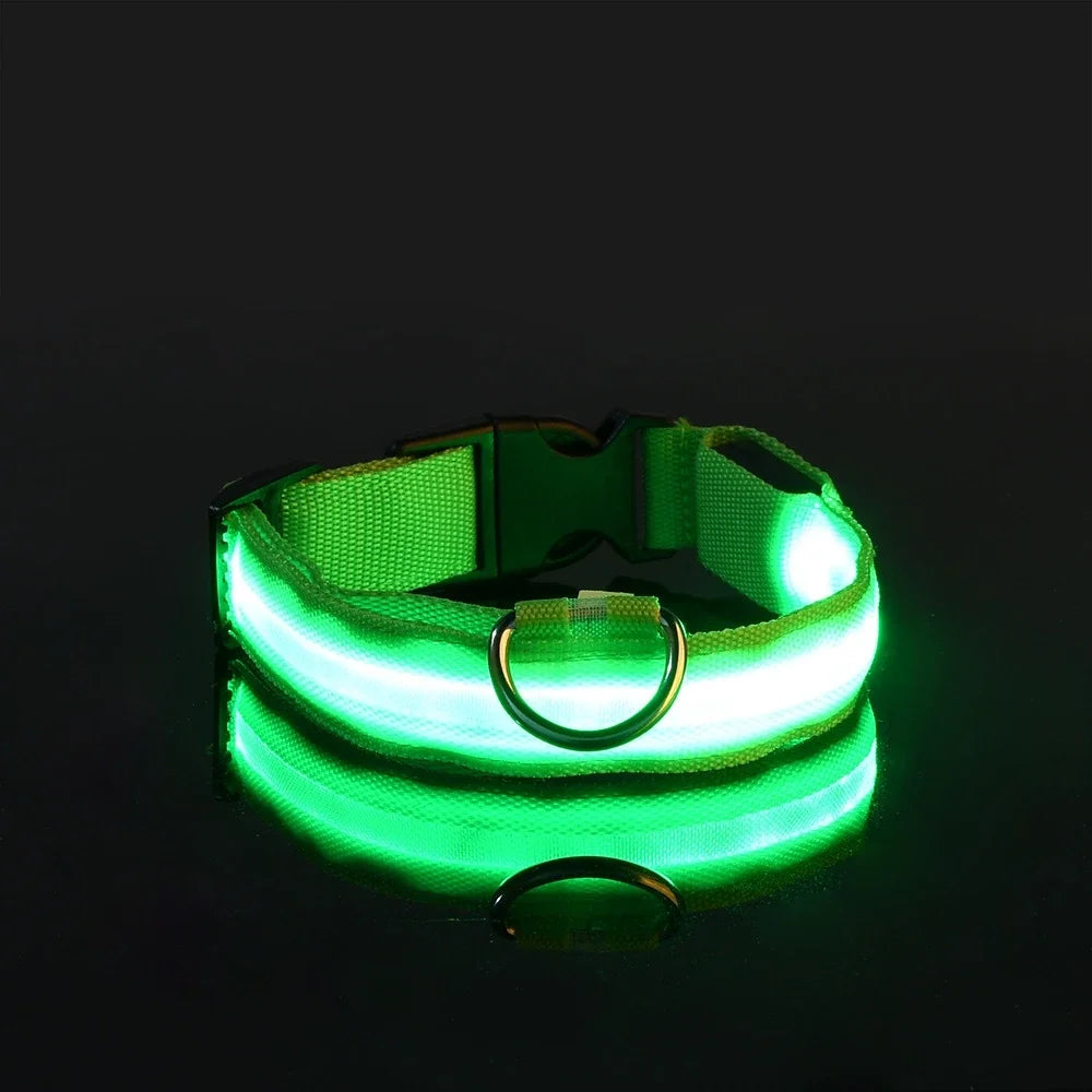 Dog Collar Nylon LED Night Safety Flashing Glow In The Dark Pet Dog Leash Fluorescent Dog Accessories