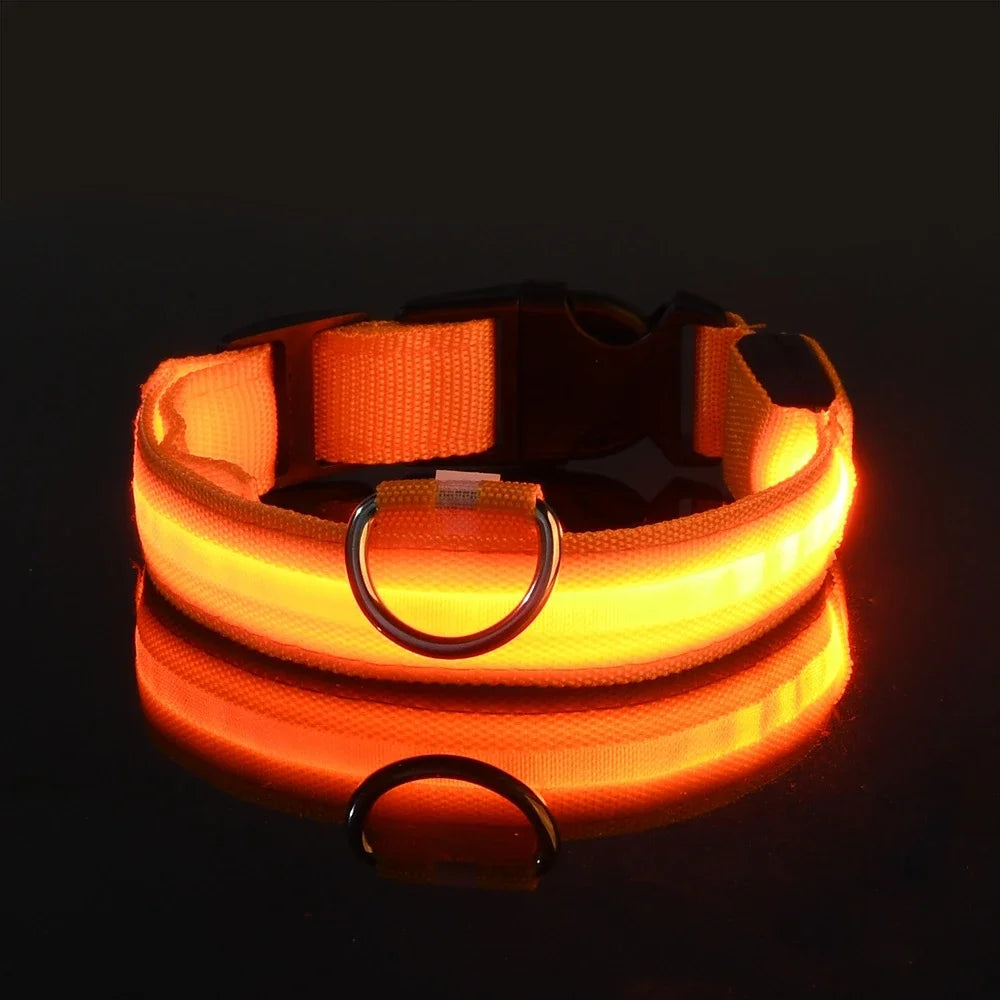 Dog Collar Nylon LED Night Safety Flashing Glow In The Dark Pet Dog Leash Fluorescent Dog Accessories