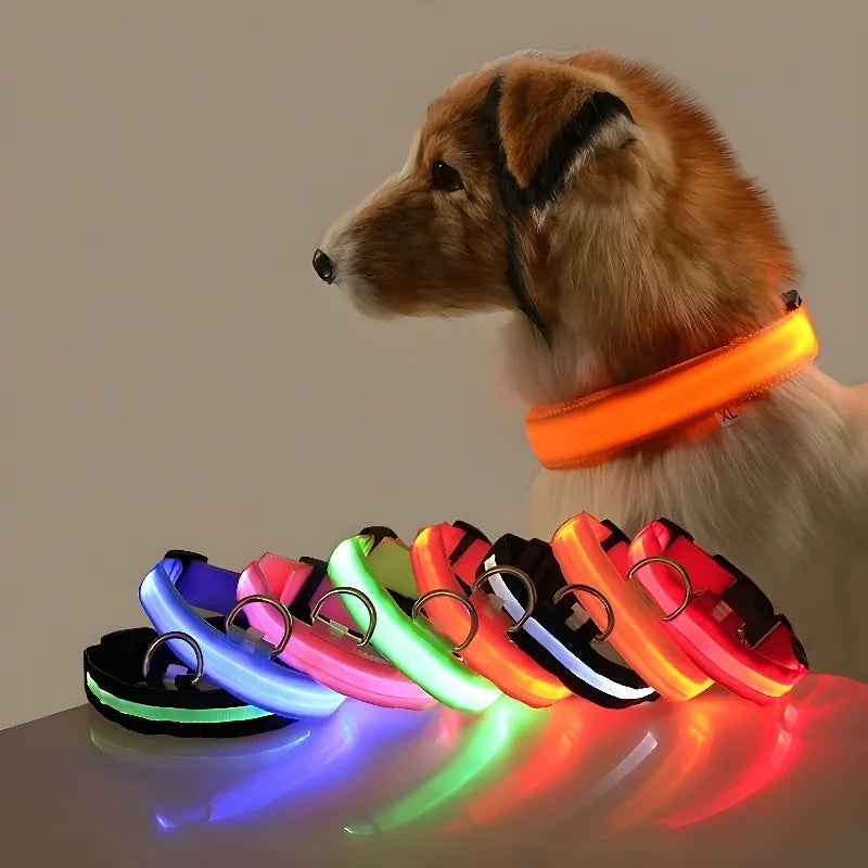 Dog Collar Nylon LED Night Safety Flashing Glow In The Dark Pet Dog Leash Fluorescent Dog Accessories