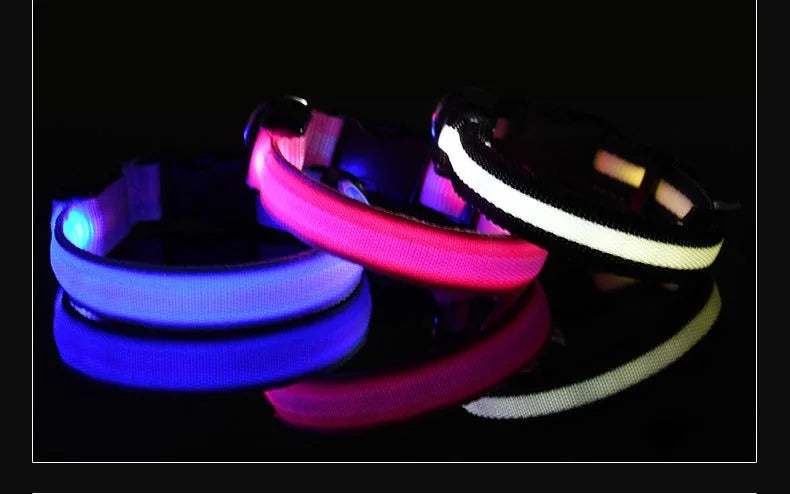 Dog Collar Nylon LED Night Safety Flashing Glow In The Dark Pet Dog Leash Fluorescent Dog Accessories