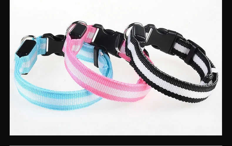 Dog Collar Nylon LED Night Safety Flashing Glow In The Dark Pet Dog Leash Fluorescent Dog Accessories