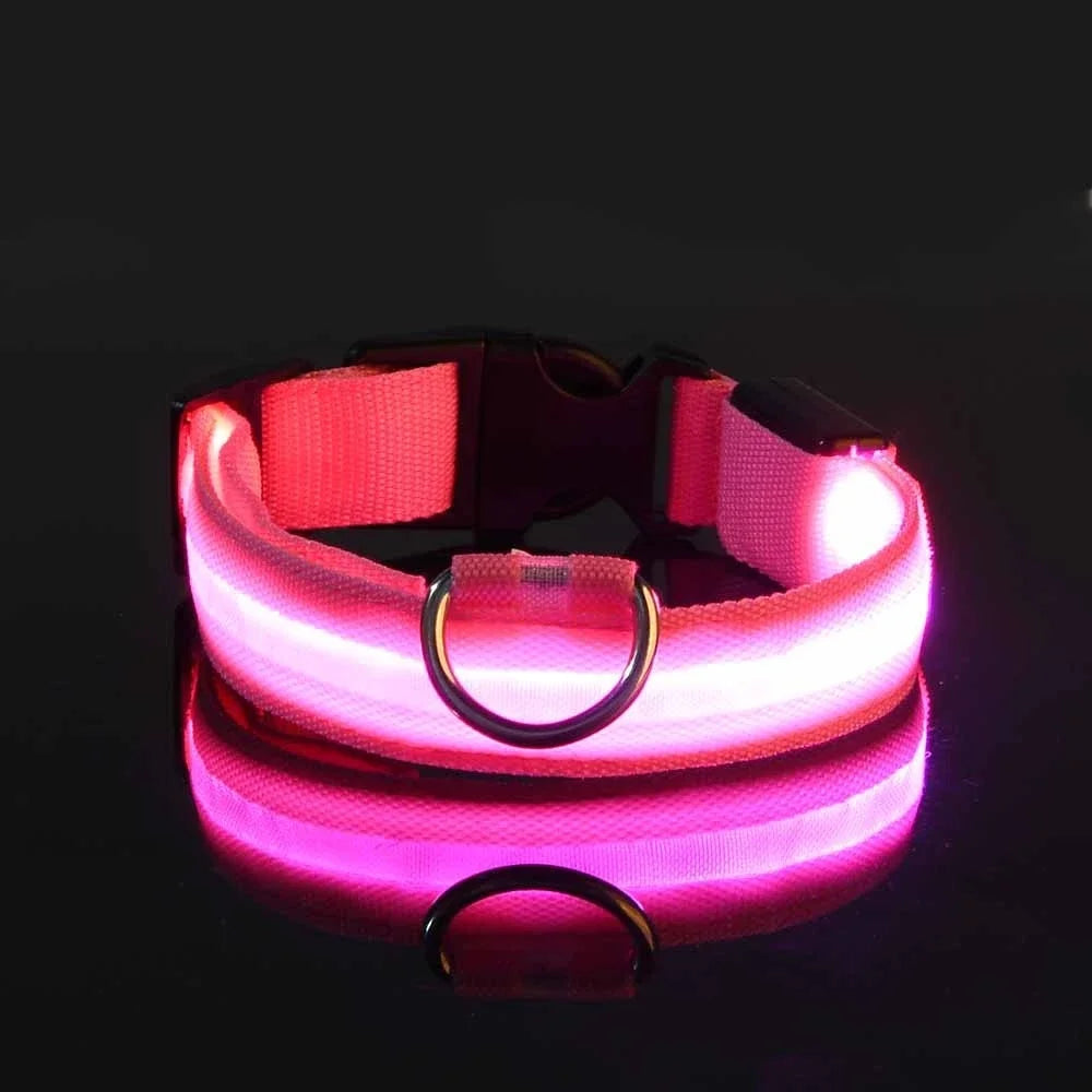 Dog Collar Nylon LED Night Safety Flashing Glow In The Dark Pet Dog Leash Fluorescent Dog Accessories