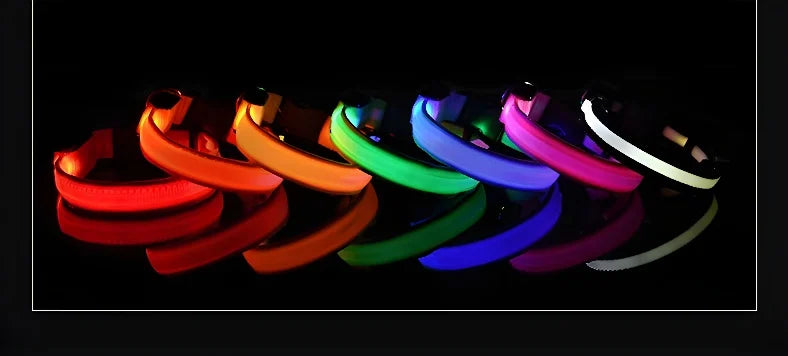 Dog Collar Nylon LED Night Safety Flashing Glow In The Dark Pet Dog Leash Fluorescent Dog Accessories