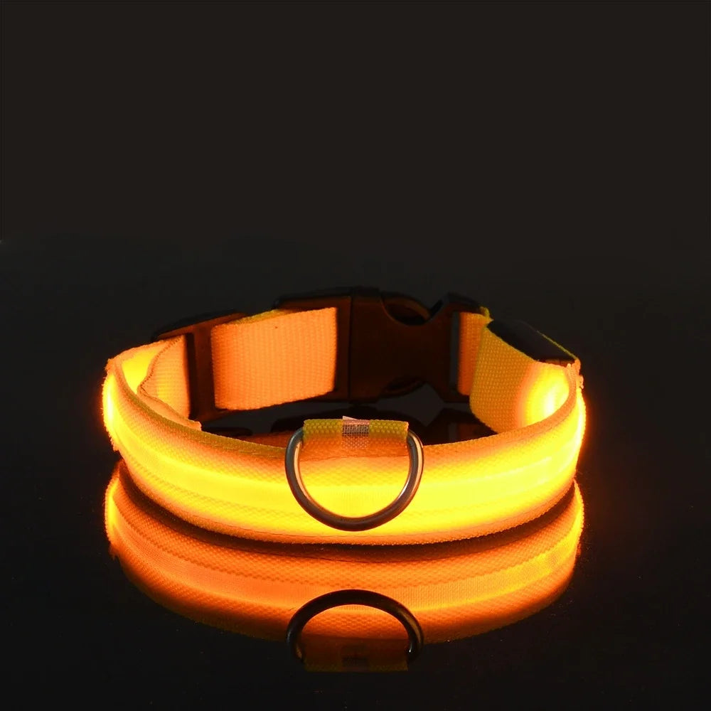 Dog Collar Nylon LED Night Safety Flashing Glow In The Dark Pet Dog Leash Fluorescent Dog Accessories