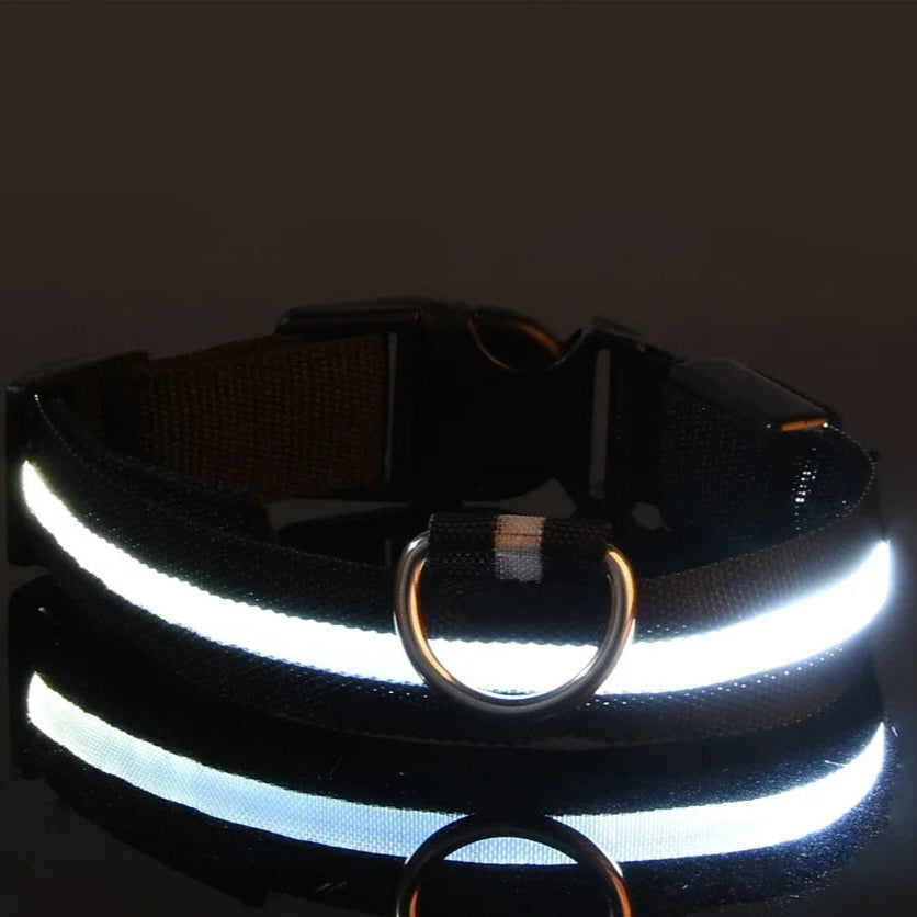 black led light flashing glow in the dark nylon collar, for walking at night, safety tool for pets