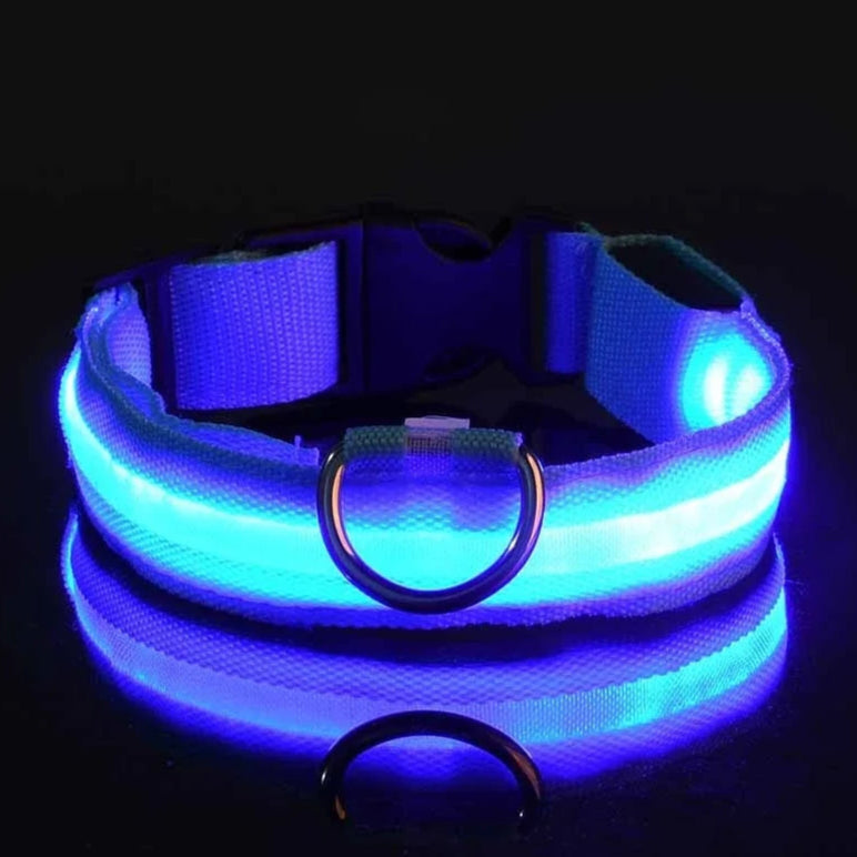 blue nylon dog collar
