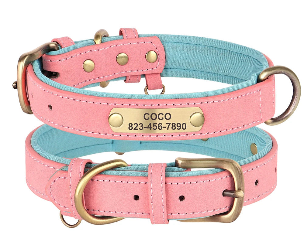 personally customized dog tag collar, nameplate with name and number id