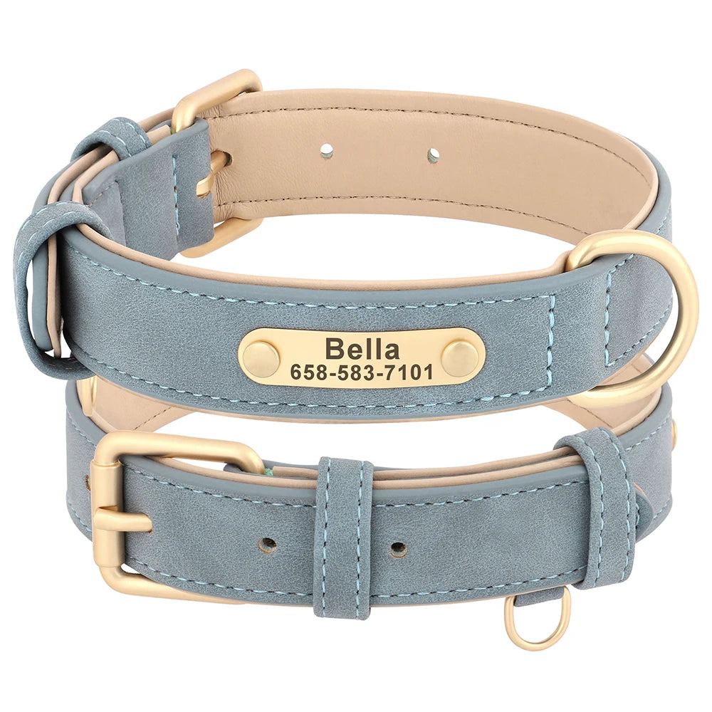 customized dog collar with nameplate