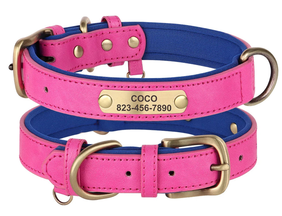 designer pet accessories for small, medium and large dog, customized dog collar