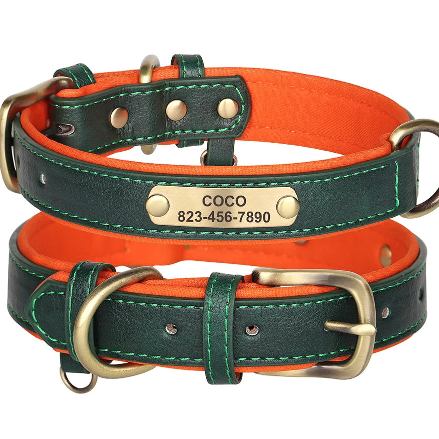 designer pet collar, customized nameplate with name and number