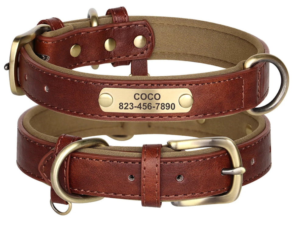 personally customized dog collar with name, durable and bendable