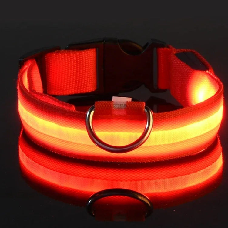 red glowing in the dark collar nylon for dogs 
