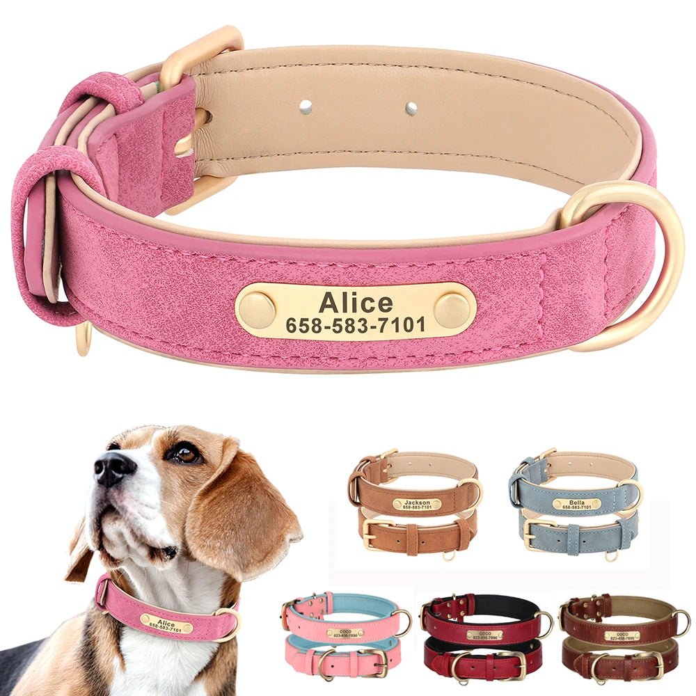 custom dog collar with nameplate
