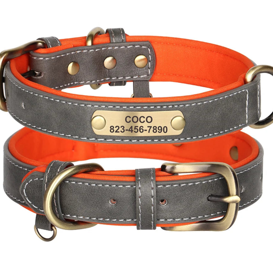 pet collar with name, id tag, custom nameplate
