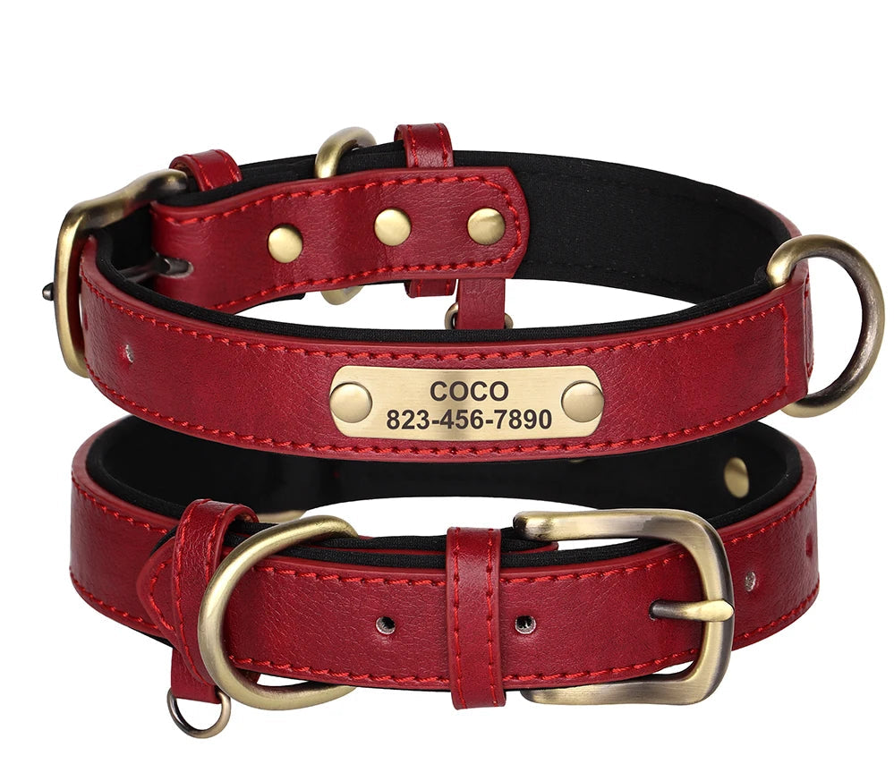 red designed personalized pet collar