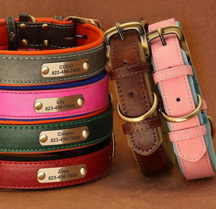 small pet business gifts for your dog, personalized pet collar