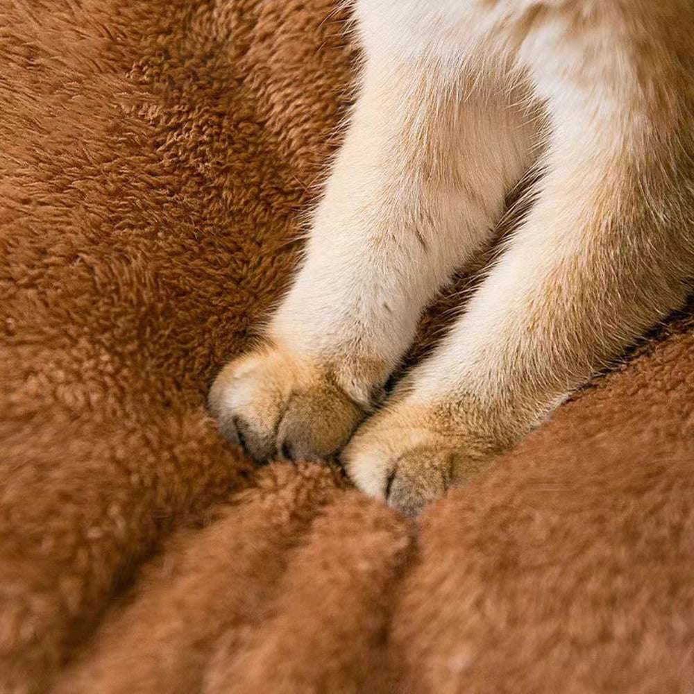 soft, comfortable durable pet bed house