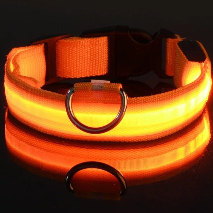 strong light in the dark nylon collar, in orange color, buckle design, light switch