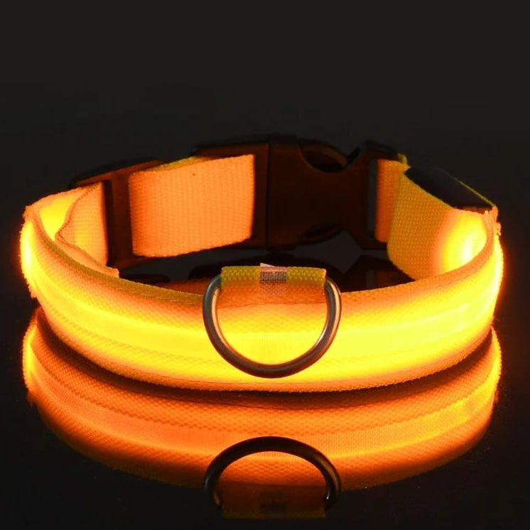 yellow nylon dog collar, strong and high quality, for night visibility and pet safety
